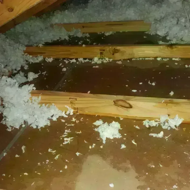 Attic Water Damage in Hartsville, SC