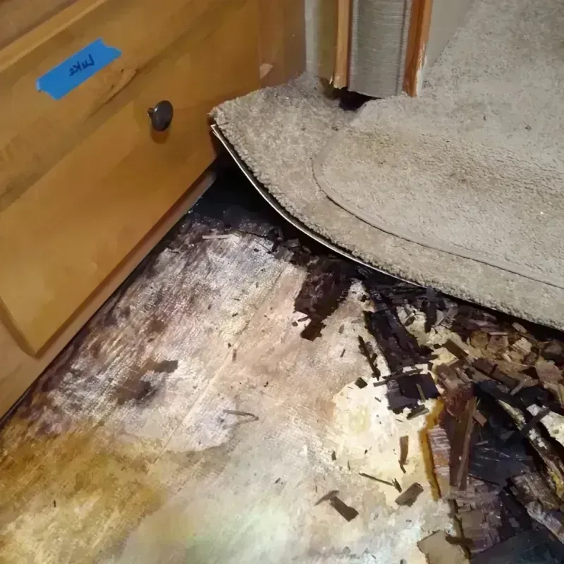 Best Wood Floor Water Damage Service in Hartsville, SC